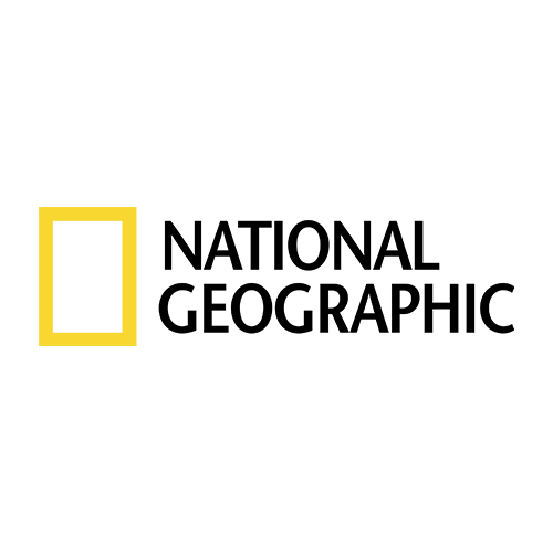 4 (1)